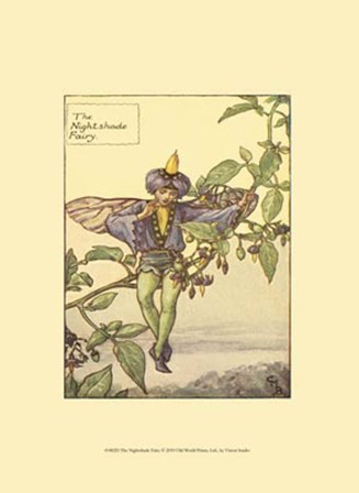 The Nightshade Fairy by Vision Studio art print