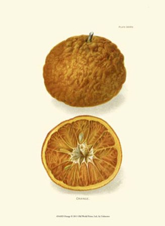 Orange art print