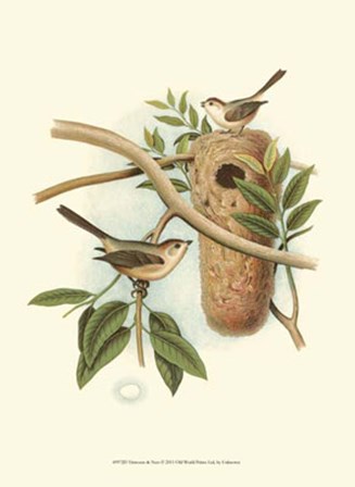 Titmouse &amp; Nest art print