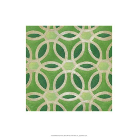 Brilliant Symmetry III by Chariklia Zarris art print
