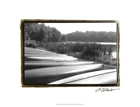 Lake Living III by Laura Denardo art print