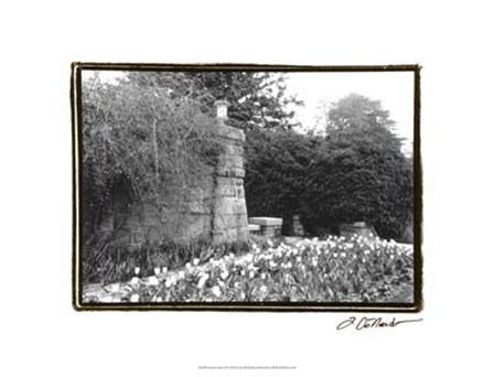 Garden Grace II by Laura Denardo art print