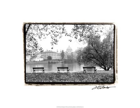 Peaceful Morning by Laura Denardo art print