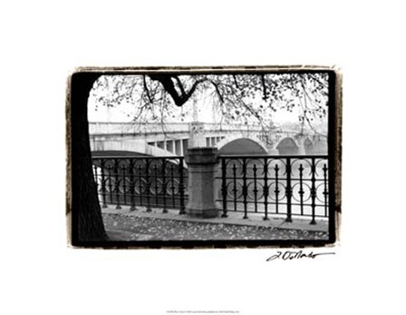 Riverview by Laura Denardo art print
