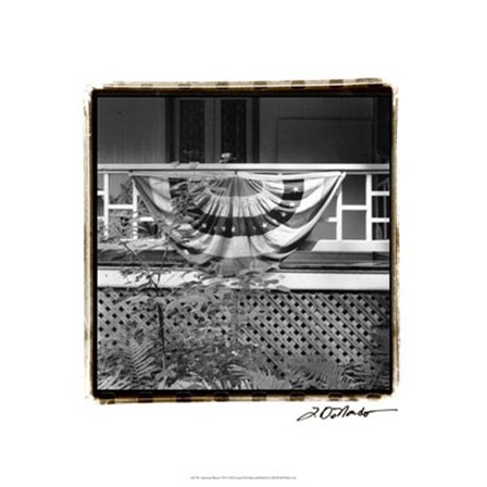 American Breeze VII by Laura Denardo art print