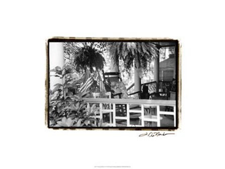 American Breeze VI by Laura Denardo art print