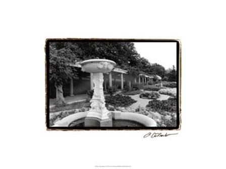 Garden Elegance II by Laura Denardo art print