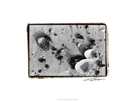 Sand Treasures I by Laura Denardo art print