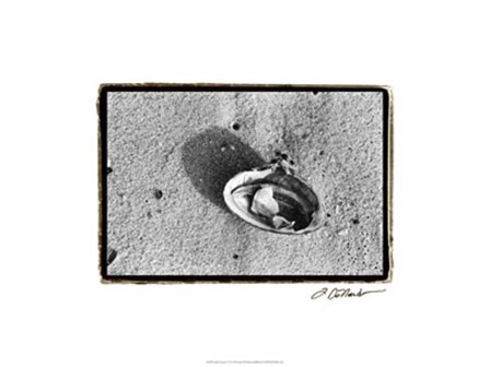 Sand Treasures VI by Laura Denardo art print