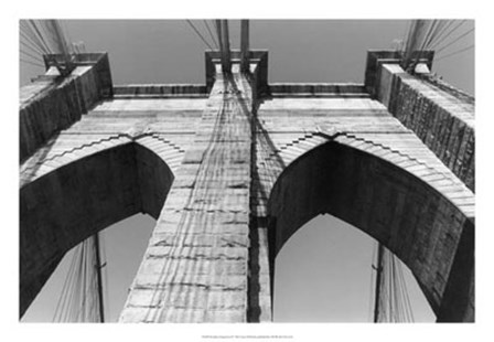 Brooklyn Suspension II by Laura Denardo art print