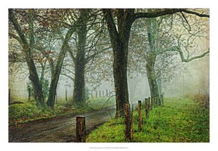 Morning on Sparks Lane IV by Danny Head art print