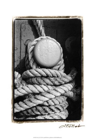 Tied Up II by Laura Denardo art print