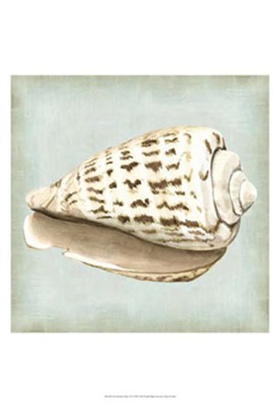 Sea Dream Shells II by Vision Studio art print
