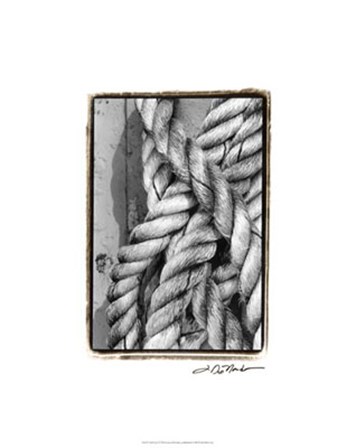 Tied Up I by Laura Denardo art print