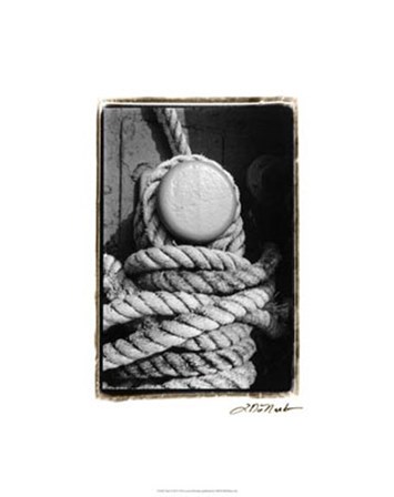 Tied Up II by Laura Denardo art print