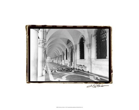 Archways of Venice I by Laura Denardo art print