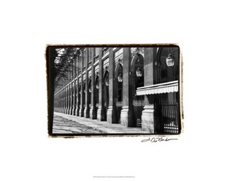 Parisian Archways IV by Laura Denardo art print