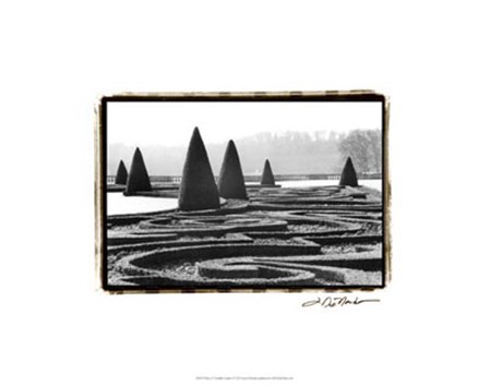 Palace of Versailles Garden I by Laura Denardo art print