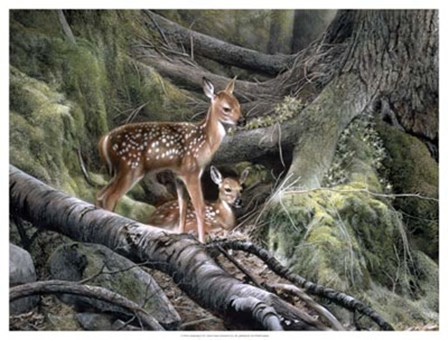 Awakening by Kevin Daniel art print