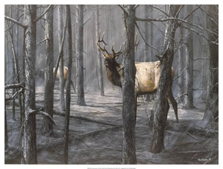 Consequence of Fire by Kevin Daniel art print