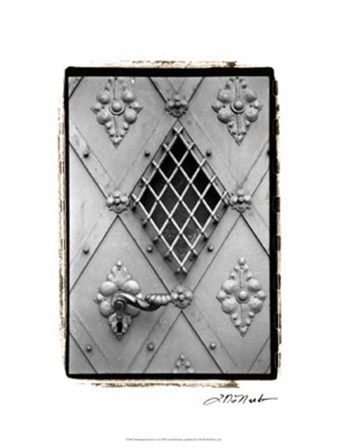 Distinguished Doors I by Laura Denardo art print