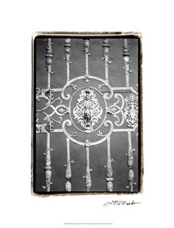 Distinguished Doors II by Laura Denardo art print