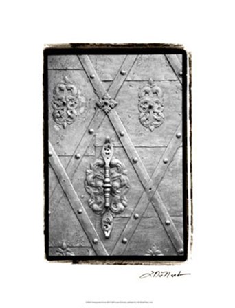 Distinguished Doors III by Laura Denardo art print