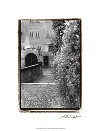 Passing through Prague II by Laura Denardo art print