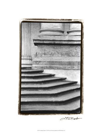 Enduring Qualities I by Laura Denardo art print