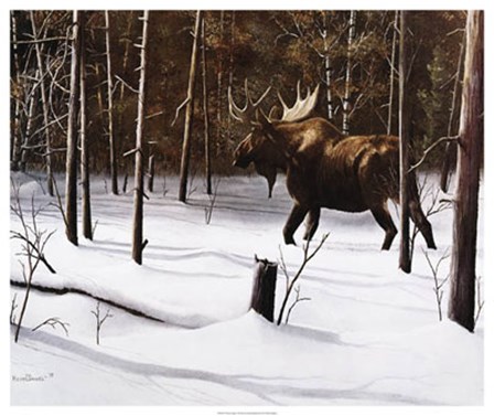 Winter Forage by Kevin Daniel art print
