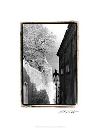 Glimpses of Prague II by Laura Denardo art print