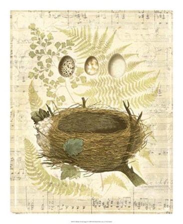 Melodic Nest &amp; Eggs II by Vision Studio art print