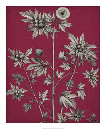 Vivid Chintz II by Vision Studio art print