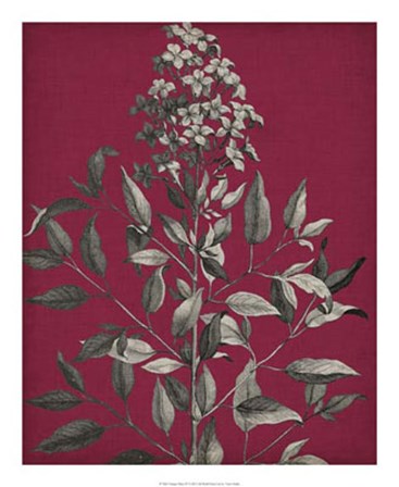 Vivid Chintz IV by Vision Studio art print