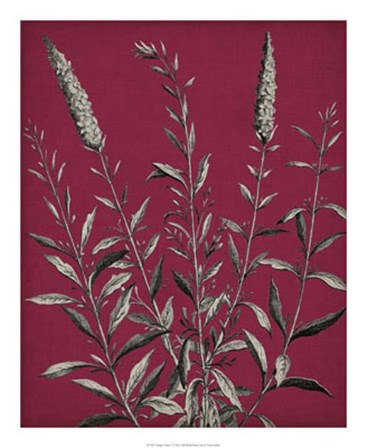 Vivid Chintz V by Vision Studio art print