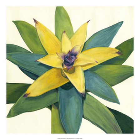 Tropical Bloom I by Megan Meagher art print