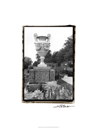 Garden Elegance V by Laura Denardo art print