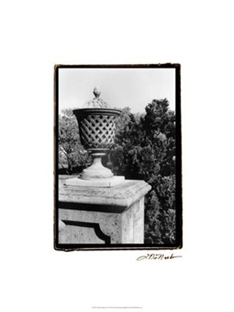 Garden Elegance VI by Laura Denardo art print