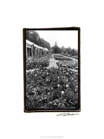 Garden Elegance VIII by Laura Denardo art print