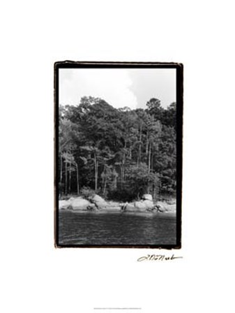 Serene Lake IV by Laura Denardo art print