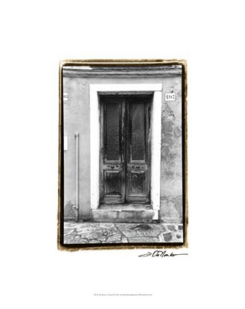 The Doors of Venice II by Laura Denardo art print