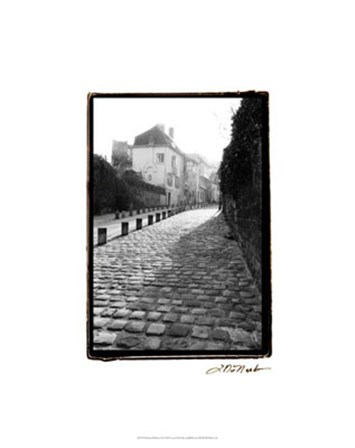 Parisian Walkway II by Laura Denardo art print