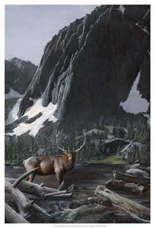 Mountainside Elk I by Kevin Daniel art print