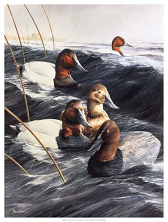 The Lost Decoy by Kevin Daniel art print