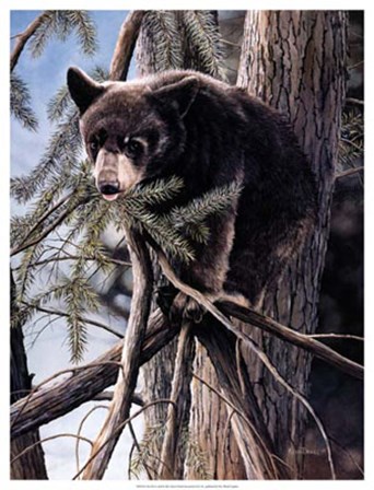 Out on a Limb by Kevin Daniel art print