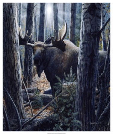 King of the Northwoods by Kevin Daniel art print