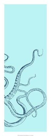 Octopus Triptych III by Vision Studio art print