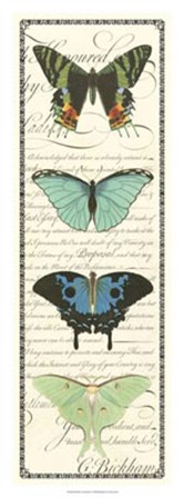 Butterfly Prose Panel II by Vision Studio art print
