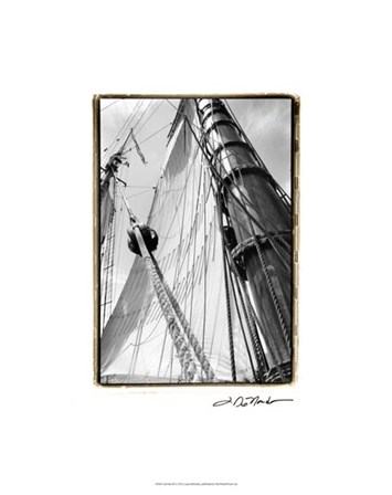 Set Sail III by Laura Denardo art print