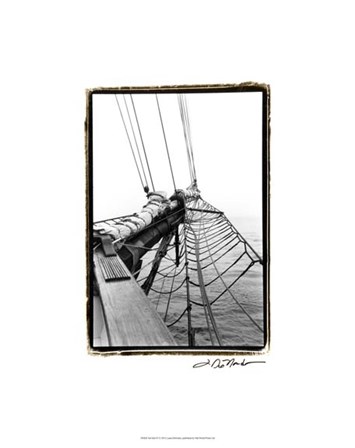 Set Sail IV by Laura Denardo art print